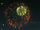 Firework.png