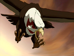 Cuervo águila | Avatar Wiki | Fandom