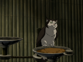 Katzeneule