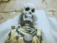 's skeleton was found in the .