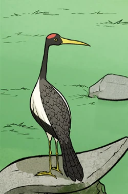 Een Viskraan vogel, zoals deze op het standbeeld van Vrouwe Tienhai zit.