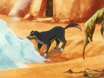 Random but what would be a good ALTA themed name for a dog? :  r/TheLastAirbender