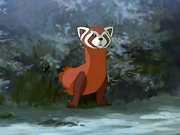 Pabu apunto de consolar a Korra