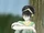 Toph in the Woods.jpg