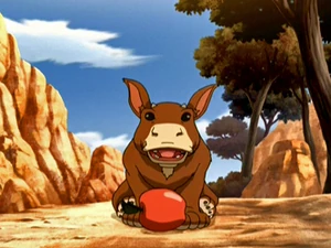 Foe foe Snoezepoes brengt Sokka een Appel.