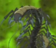 Molipedes: the resident earthbenders of the secret tunnel.