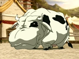 Cow hippo