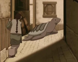 Schildpadzeehond in Ba Sing Se.