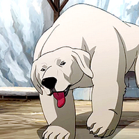 Polar Bear Dog Avatar Wiki Fandom Beardog bear dog adoptable adopt. polar bear dog avatar wiki fandom