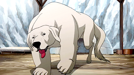 can a polar bear breed with a dog