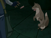 Tong fox 2025