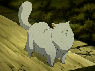 Tiny) Cat Avatar - White