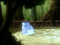 Aang summons a spirit