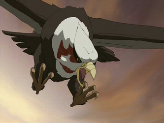 Raven eagle | Avatar Wiki | Fandom