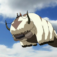 Appa Avatar Wiki Fandom The global community for designers and creative professionals. appa avatar wiki fandom