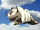 Appa flying.png