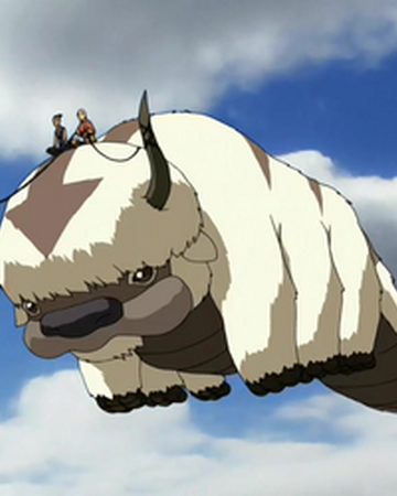 Appa Avatar Wiki Fandom Browse through collections of adorable appa avatar on alibaba.com to find the ideal gift. appa avatar wiki fandom