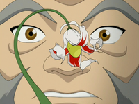 The White Jade plant, where the leaves were used to create a poison to kill Amak.