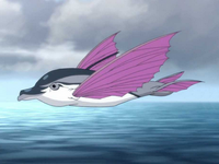 Flying dolphin fish