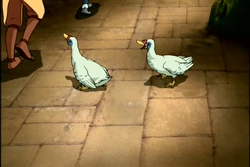 1х14 утки-индейки