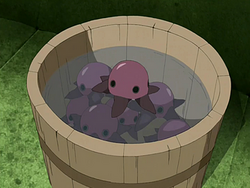 Purple pentapus