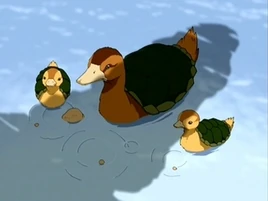 Turtle ducks