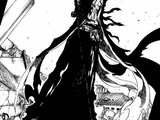 Fanon:Kuro (Storms)
