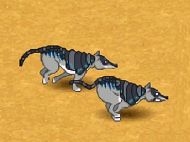 Armadillo wolf pounce