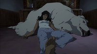 Korra and Naga sedated