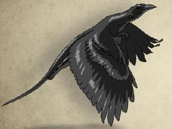 ворон ящерица. ворон ящер. ворон ящерица. ворон ящерица. черный древесный варан.