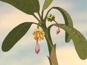 De lunch-bananen boom uit het pilot hoofdstuk.