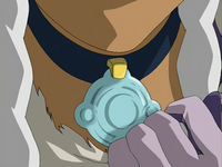 Yue's necklace