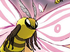 Moth wasp