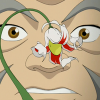 Arbusto Jade Blanco Avatar Wiki Fandom