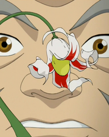 Arbusto Jade Blanco Avatar Wiki Fandom