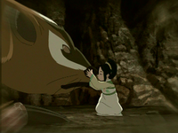 Toph befriends a badgermole