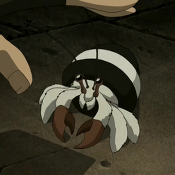 Hermit Crab Avatar Wiki Fandom Последние твиты от hermit crab and claws!! hermit crab avatar wiki fandom