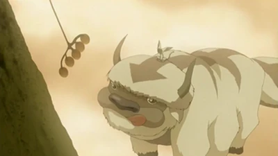 Momo S Relationships Avatar Wiki Fandom Avatar the last airbender nation pendants. momo s relationships avatar wiki fandom