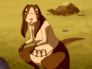 Een Kanganijn met haar jongen