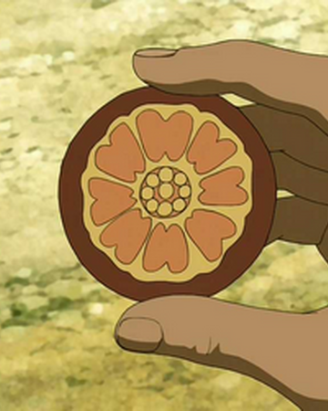 Fanon The Order Of The White Lotus The White Lotus Returns Avatar Wiki Fandom