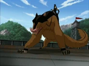 Ширшу. («Бато из племени Воды»)