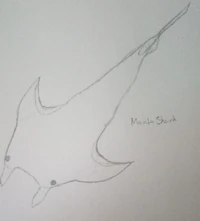 Mantashark's appearance. They look the same in appearance except the pups don't have teeth.