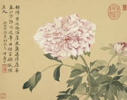 Päonien-Darstellung