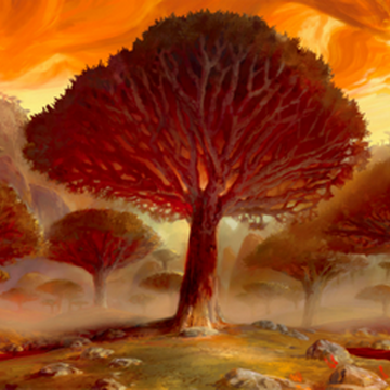 Xai Bau S Grove Avatar Wiki Fandom