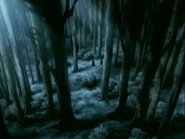 Dark forest