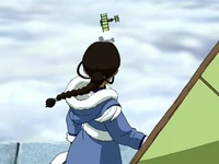 Katara inquieta