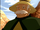 Canyon Gids