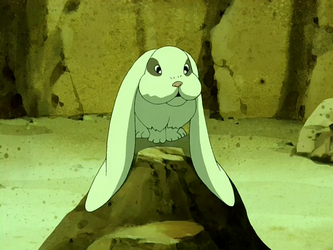 Lop-eared rabbit, Avatar Wiki, Fandom