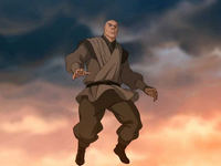 Avatar: Braving the Elements, Avatar Wiki