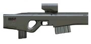 IBSF assault rifle